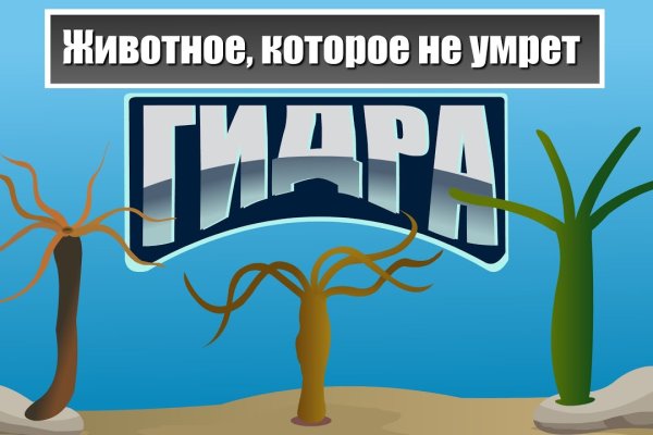 Кракен телеграмм канал