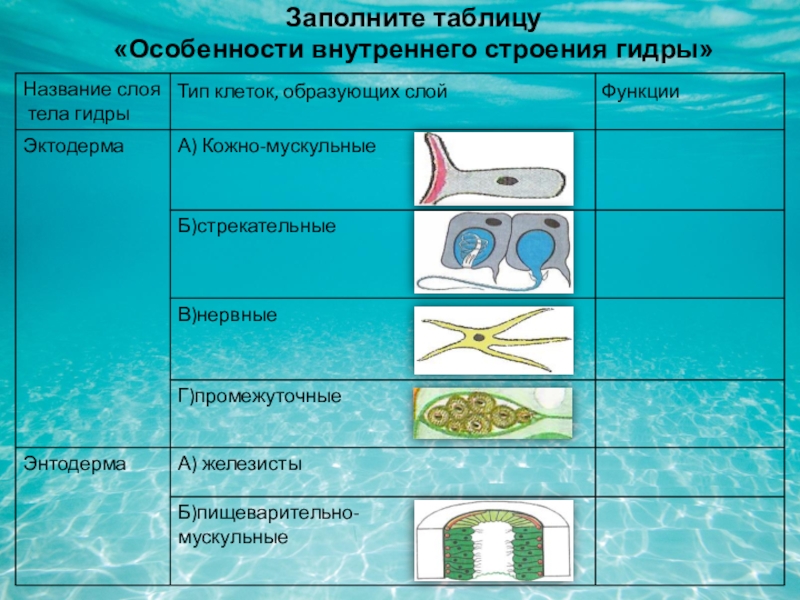 Как пополнить кракен